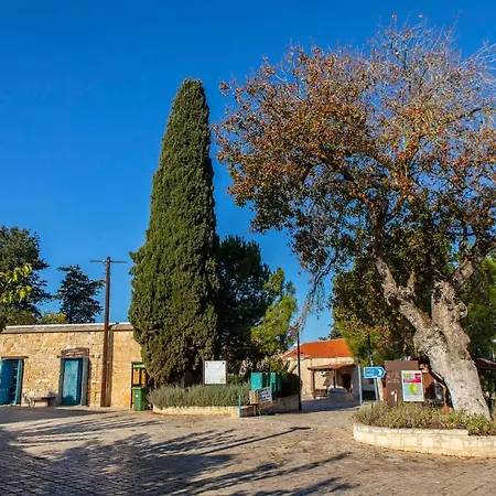 Akamantida Platea Semesterbostad Pano Arodes